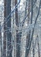 Познакомиться с татаркой.  Далия 29 лет Москва 631211