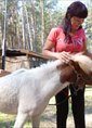 Познакомиться с татаркой.  Тансылу 55 лет Челябинск 442161