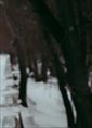 Познакомиться с татарином.  Муса 29 лет Омск 693228