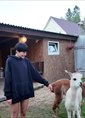 Познакомиться с татаркой.   Ямочкина
 32 года Москва 743110