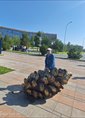 Познакомиться с татарином.  Руслан 48 лет Москва 364215 фото №2
