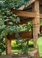Познакомиться с татаркой.  Мин 56 лет Базарные Матаки 712318